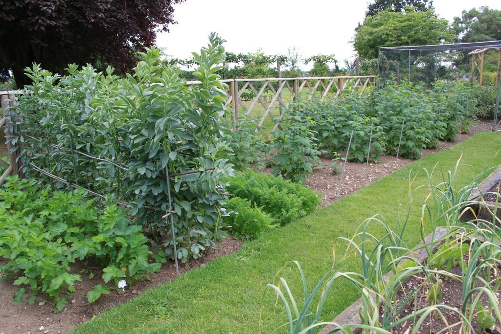 Drinkstone Park Bed And Breakfast 外观 照片