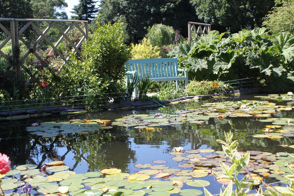 Drinkstone Park Bed And Breakfast 外观 照片