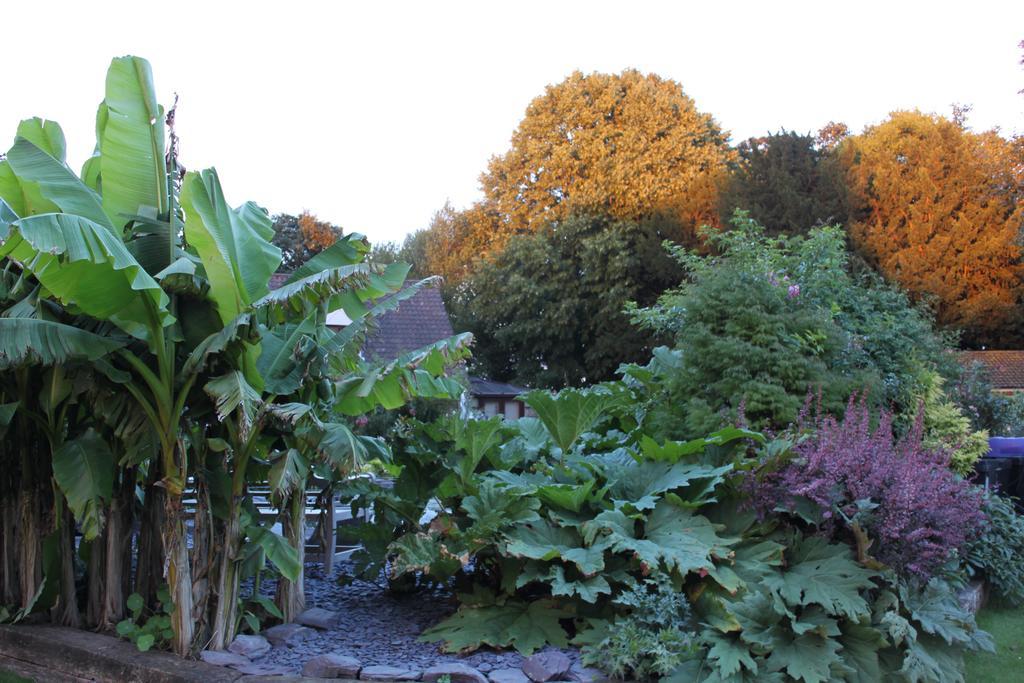 Drinkstone Park Bed And Breakfast 外观 照片
