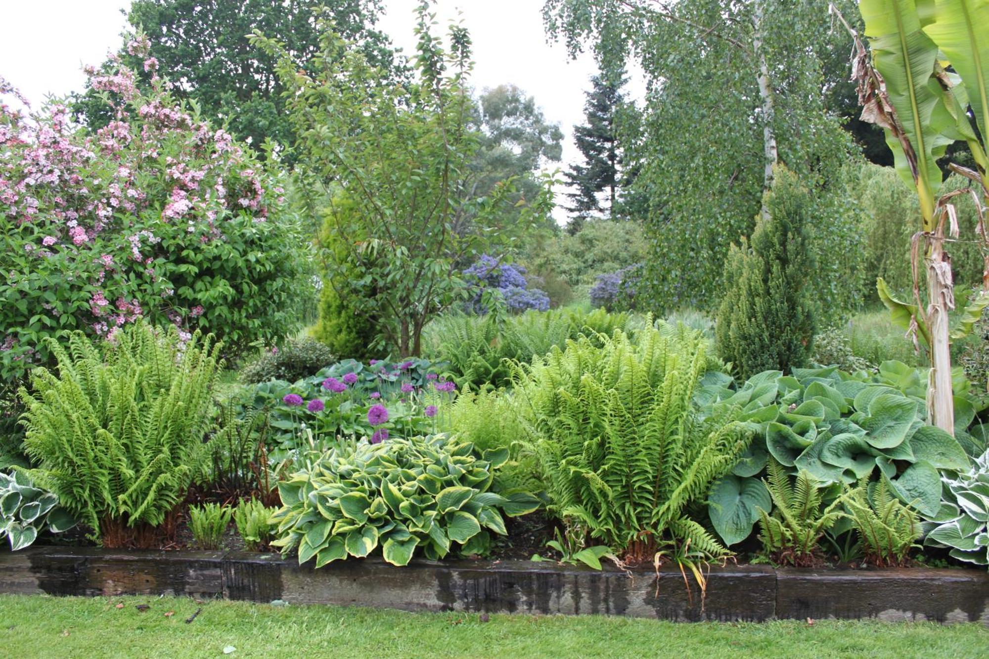Drinkstone Park Bed And Breakfast 外观 照片