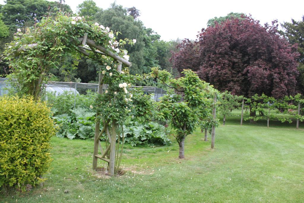Drinkstone Park Bed And Breakfast 外观 照片