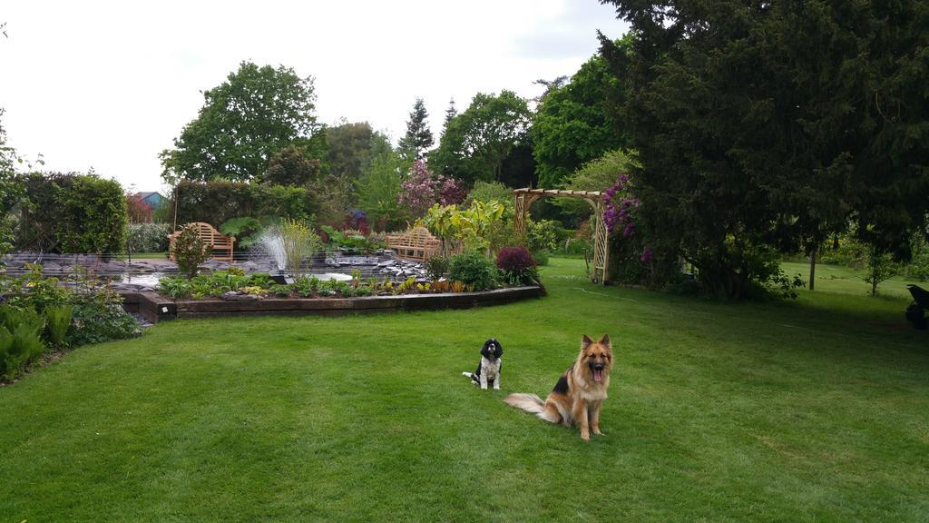 Drinkstone Park Bed And Breakfast 外观 照片