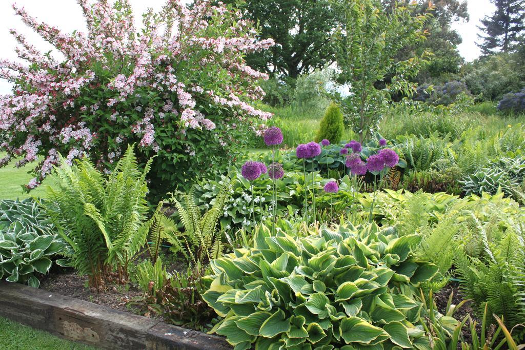 Drinkstone Park Bed And Breakfast 外观 照片