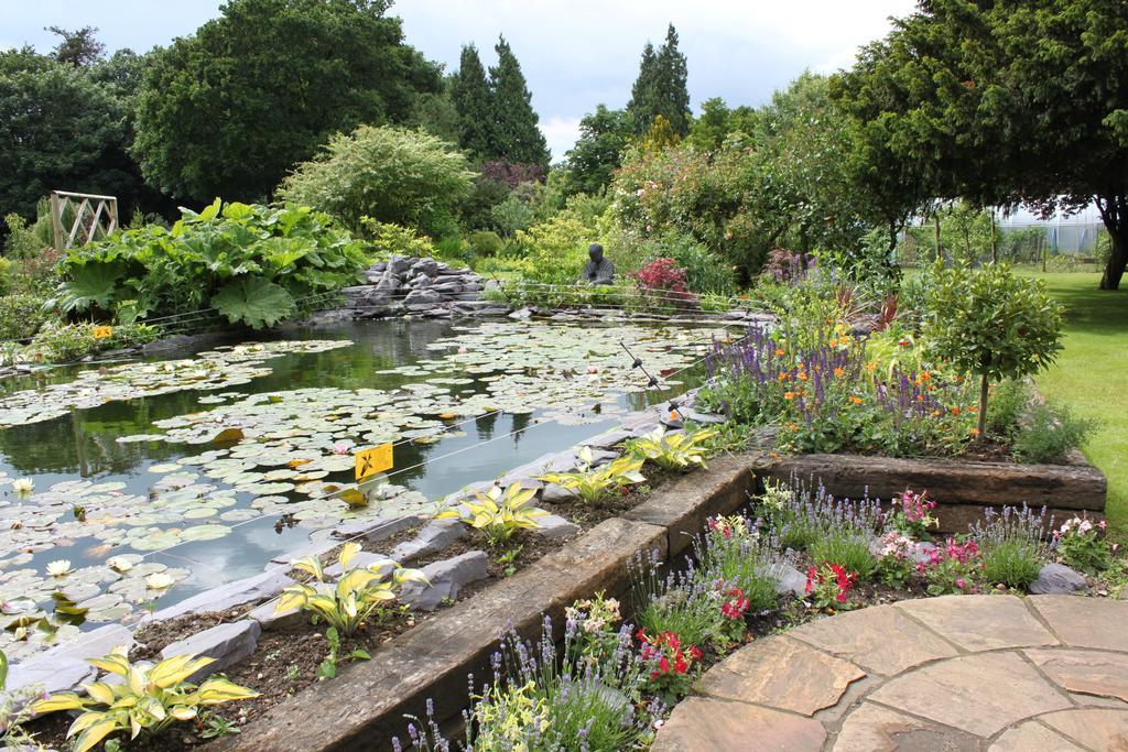 Drinkstone Park Bed And Breakfast 外观 照片